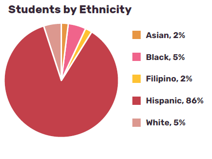Students by Ethnicity
